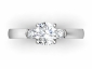 Diamond ring SAP24 birds eye view